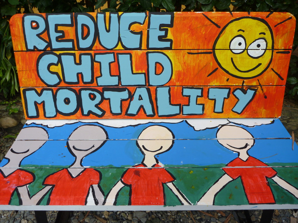 essay about reduce child mortality