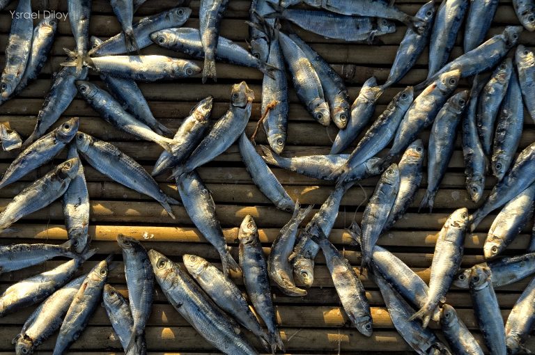 driedfishphilippines